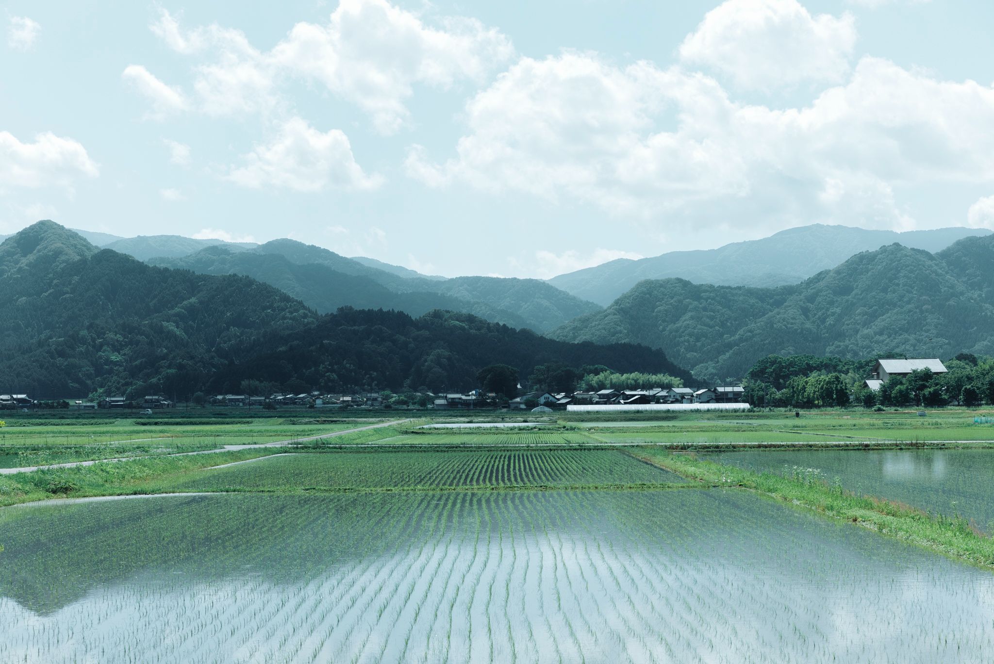 神鍋の山と田畑が広がる風景