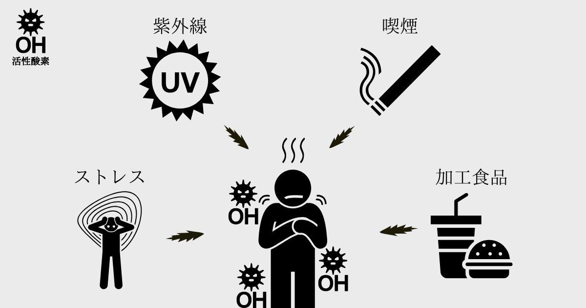 体の中で起こる酸化のしくみを、わかりやすく伝えるための図です。