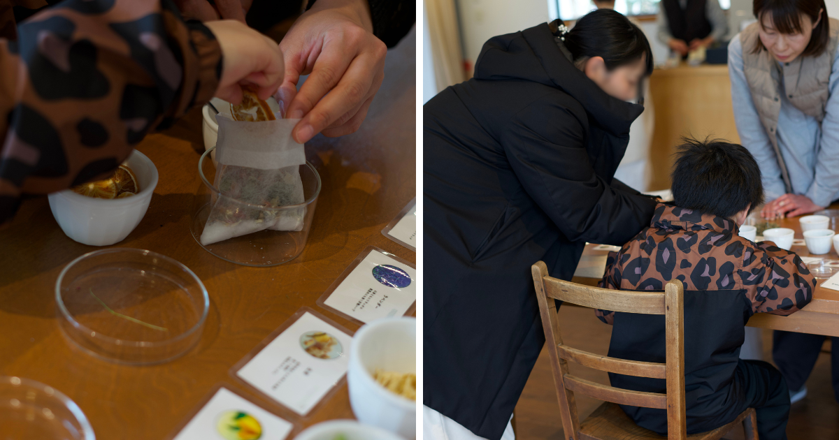 植物を選ぶ時間 HOLIDAY HOME × irocaの記録写真