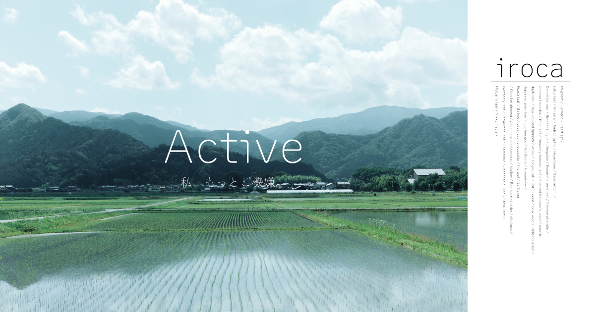朝の田んぼの光をActiveの入口に。前へ向く時間を、風景から始めています。