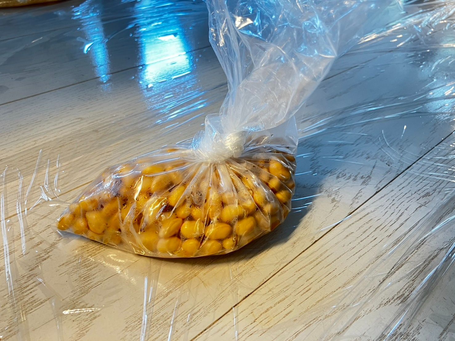 毎年恒例の味噌づくり。発酵を暮らしの中で感じる時間です。