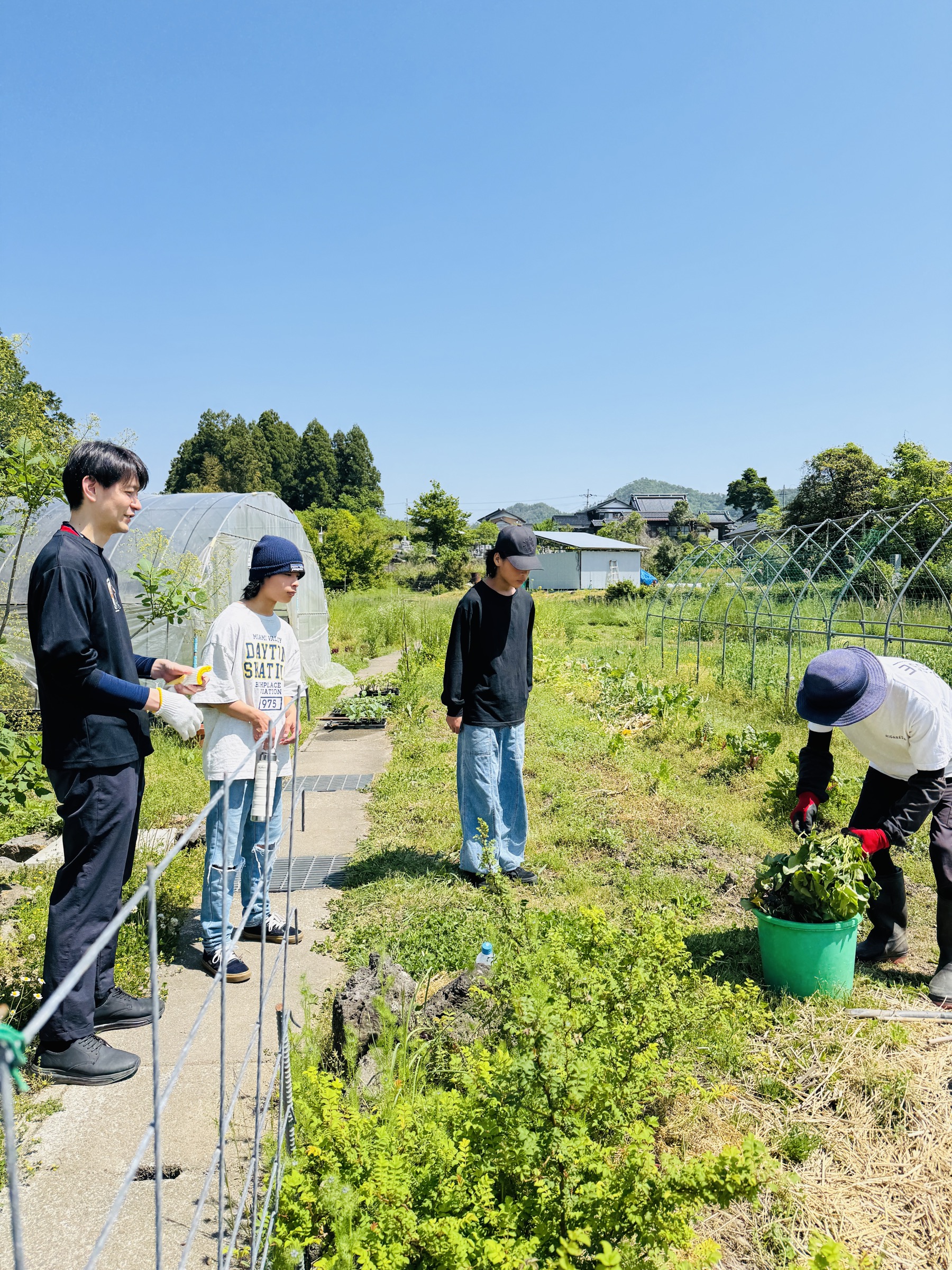 みんなで畑に入り、植物の育つ場所を見ていきます。