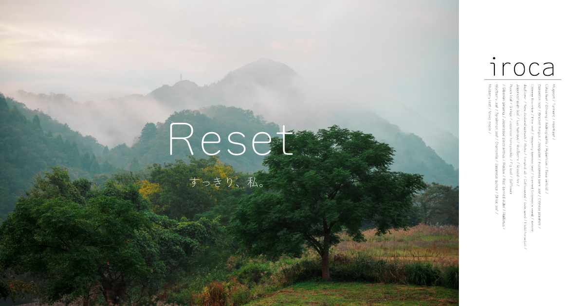 霧の山景色は、Resetが持つ切り替えの空気を先に感じてもらうための一枚です。