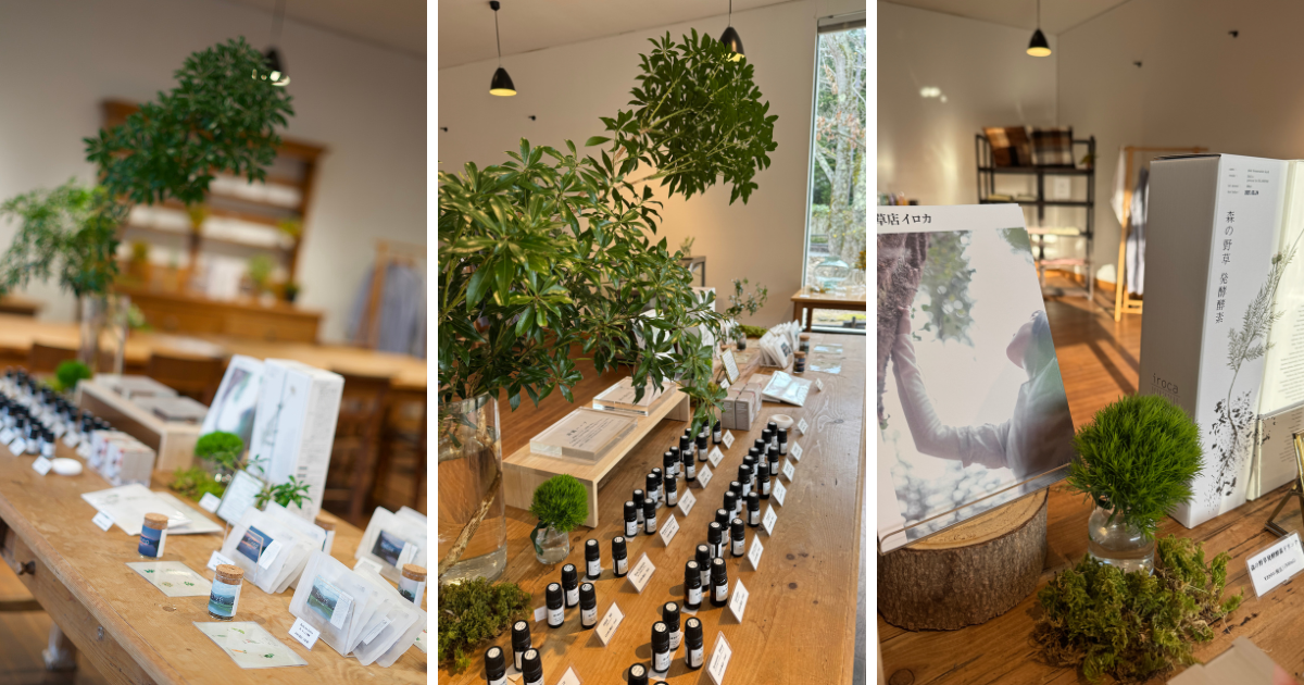 植物を選ぶ時間 HOLIDAY HOME × irocaの記録写真